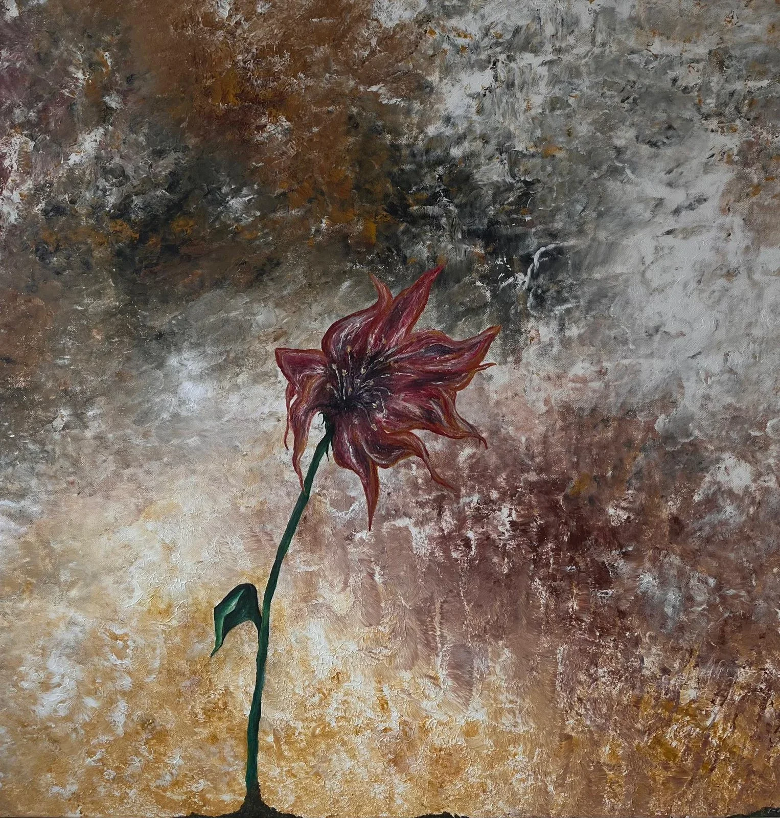 My Wonderland Flower